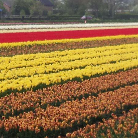Bright Holiday Home In Noordwijk Near Sea 외부 사진