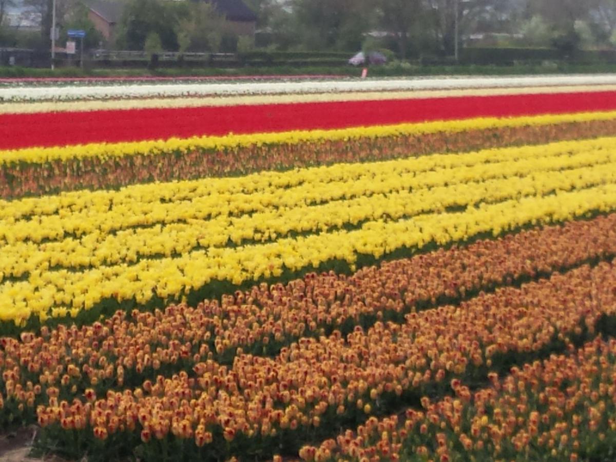 Bright Holiday Home In Noordwijk Near Sea 외부 사진